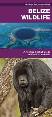 Belize Wildlife: A Folding Pocket Guide to Familiar Animals by Kavanagh, James