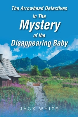 The Arrowhead Detectives in The Mystery of the Disappearing Baby Paperback Christian Faith