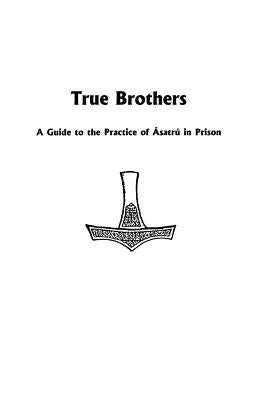 True Brothers Paperback Lodestar Books