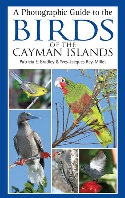 A Photographic Guide to the Birds of the Cayman Islands Paperback Bloomsbury Publishing PLC