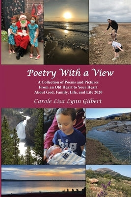 Poetry With a View Paperback Carole Gilbert