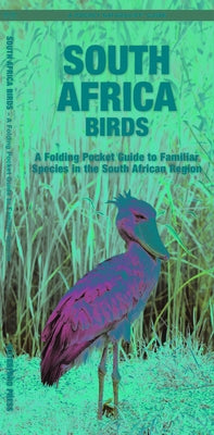 South Africa Birds: A Folding Pocket Guide to Familiar Species in the South African Region Paperback Waterford Press