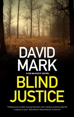 Blind Justice Paperback Severn House