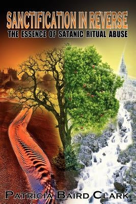 Sanctification in Reverse Paperback Five Stone Publishing
