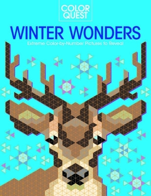 Color Quest: Winter Wonders: Extreme Color-By-Number Pictures to Reveal Paperback Sourcebooks