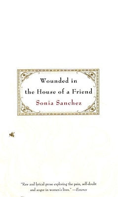 Wounded in the House of a Friend Paperback Beacon Press