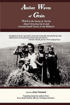 Amber Waves of Grain: Third in the Series of Stories About Growing Up in and Around Small Towns in the Midwest Paperback Shapato Publishing Co.