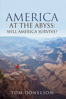 America At The Abyss: Will America Survive? Paperback Liberty Hill Publishing