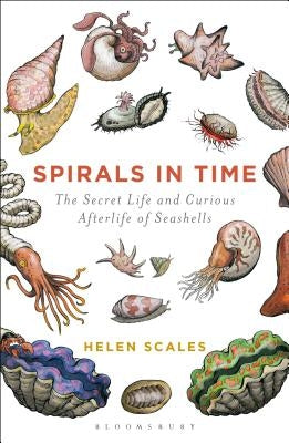 Paperback of Spirals in Time by Bloomsbury SIGMA, showing a detailed seashell with spiral patterns on a neutral background.