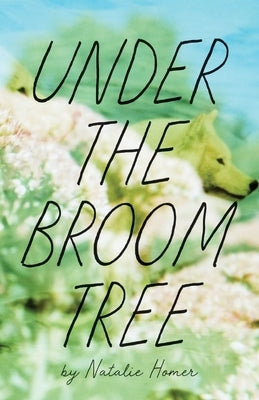Under the Broom Tree Paperback Autumn House Press