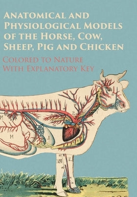 Anatomical and Physiological Models of the Horse, Cow, Sheep, Pig and Chicken - Colored to Nature - With Explanatory Key Paperback Read Books