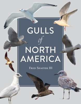 Gulls of North America Schiffer Publishing