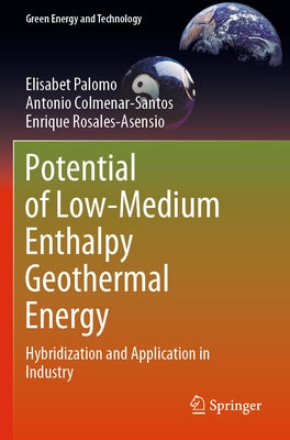 Potential of Low-Medium Enthalpy Geothermal Energy: Hybridization and Application in Industry Paperback Springer
