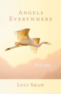 Angels Everywhere: Poems Paperback Iron Pen