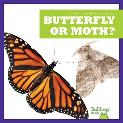 Butterfly or Moth? Paperback Bullfrog Books