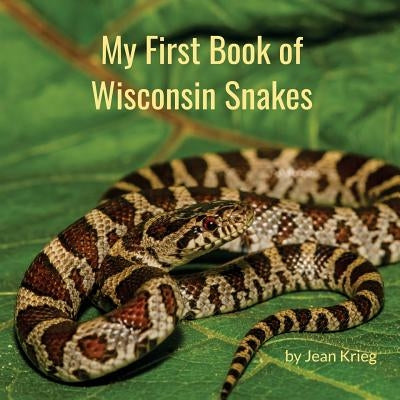 My First Book of Wisconsin Snakes Paperback Createspace Independent Publishing Platform