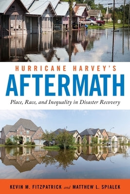 Hurricane Harvey's Aftermath: Place, Race, and Inequality in Disaster Recovery Paperback New York University Press