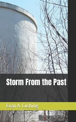 Storm From the Past Paperback Independently Published