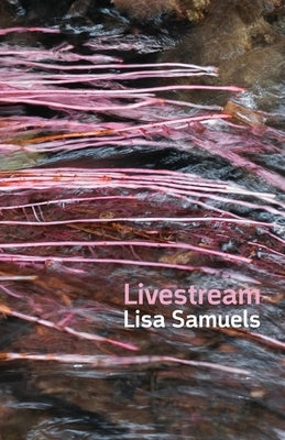 Livestream Paperback Shearsman Books