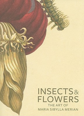 Detailed illustration of insects and flowers from Maria Sibylla Merian's art, showcasing vibrant, detailed natural imagery.