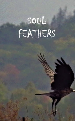 Soul Feathers Paperback Libresco Feeds Private Limited
