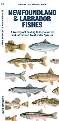Newfoundland & Labrador Fishes: A Waterproof Folding Guide to Native and Introduced Freshwater Species Paperback Waterford Press