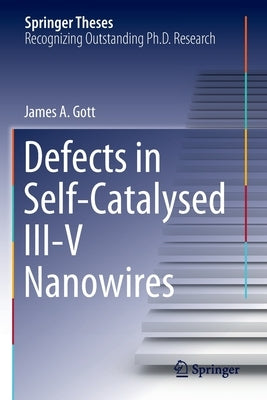 Defects in Self-Catalysed III-V Nanowires Paperback Springer