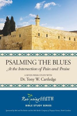 Psalming the Blues Paperback Nurturing Faith Inc.