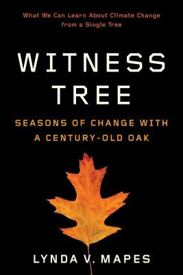 Witness Tree: Seasons of Change with a Century-Old Oak Paperback University of Washington Press