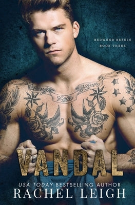Vandal: A Dark Bully Romance Paperback Rachel Leigh Romance LLC