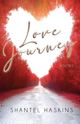 Love Journey Paperback Watersprings Media House