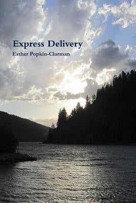 Express Delivery Paperback Sunyata Press