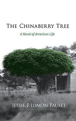 The Chinaberry Tree: A Novel of American Life Paperback Dover Publications