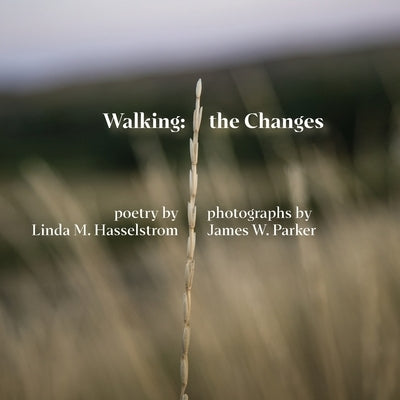 Walking the Changes Paperback Lame Johnny Press