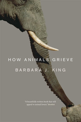How Animals Grieve Paperback University of Chicago Press