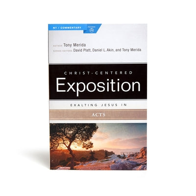 Exalting Jesus in Acts Paperback Holman Reference