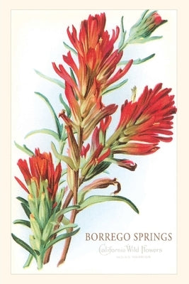 Vintage Journal Borrego Springs, Wildflowers Paperback Found Image Press