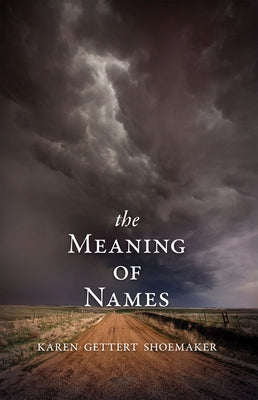 The Meaning of Names Paperback Red Hen Press