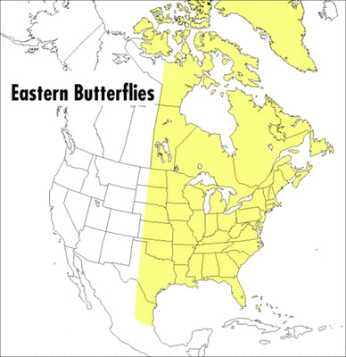 A Peterson Field Guide to Eastern Butterflies Paperback Mariner Books