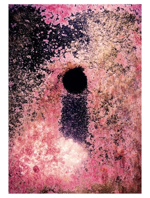 Taiyo Onorato & Nico Krebs: Water Column Paperback Patrick Frey Edition