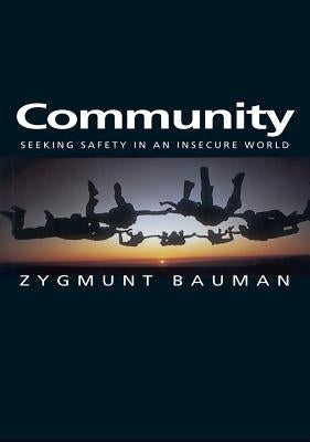 Community: Seeking Safety in an Insecure World Paperback Polity Press