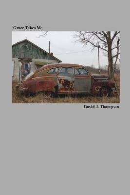 Grace Takes Me Paperback Vegetarian Alcoholic Press