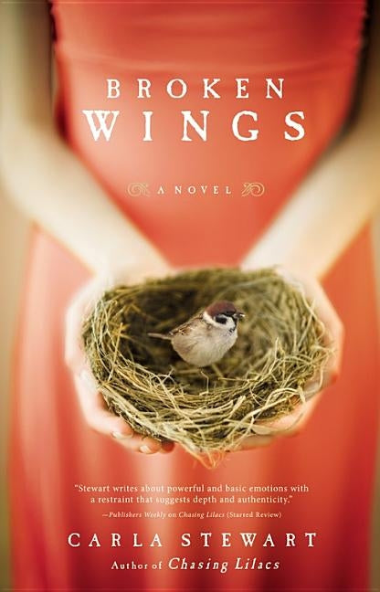 Broken Wings Paperback Faithwords