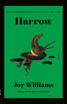 Harrow: A Novel (Kirkus Prize) Paperback Vintage