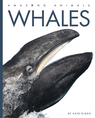 Whales Paperback Creative Paperbacks