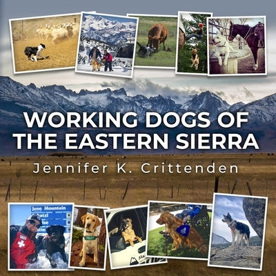 Working Dogs of the Eastern Sierra Paperback Whistling Rabbit Press