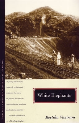 White Elephants Paperback Beacon Press