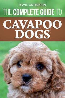 The Complete Guide to Cavapoo Dogs: Everything you need to know to successfully raise and train your new Cavapoo puppy Paperback Createspace Independent Publishing Platform