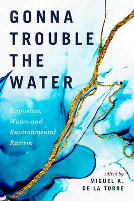 Gonna Trouble the Water: Ecojustice, Water, and Environmental Racism Paperback Pilgrim Press