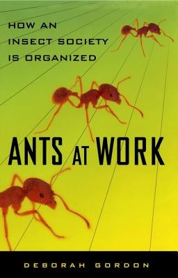 Ants at Work: How an Insect Society Is Organized Paperback Free Press